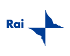 RAI International